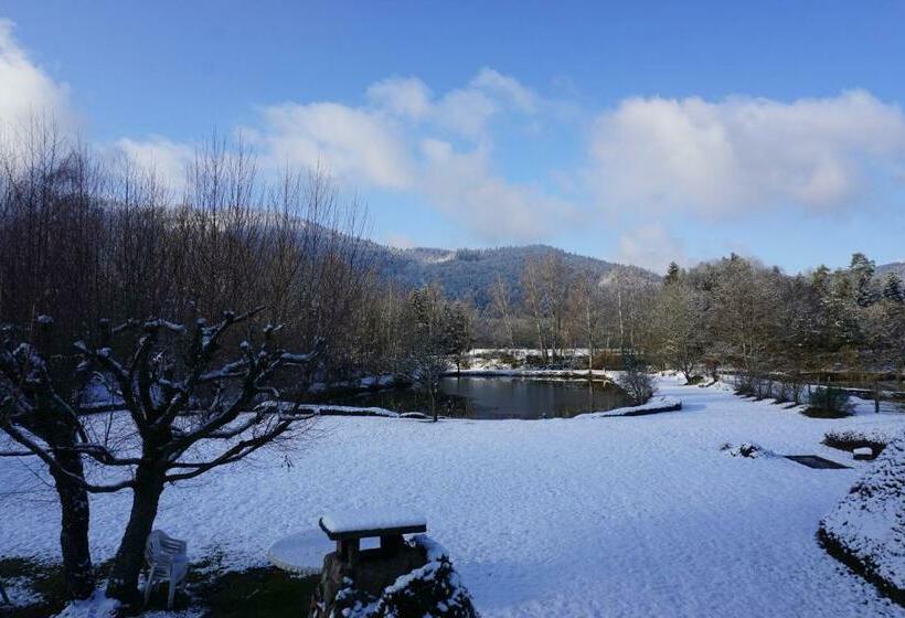 La Maison Et L étang   Grand Terrain Privé