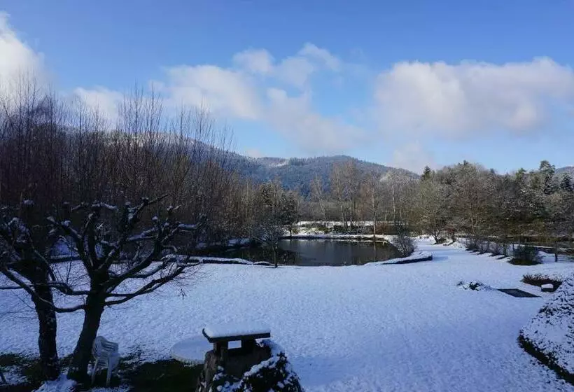 La Maison Et L étang   Grand Terrain Privé
