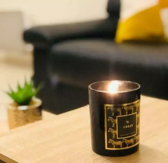 Appart In Py    Charmant Studio Rdc Plein Centre