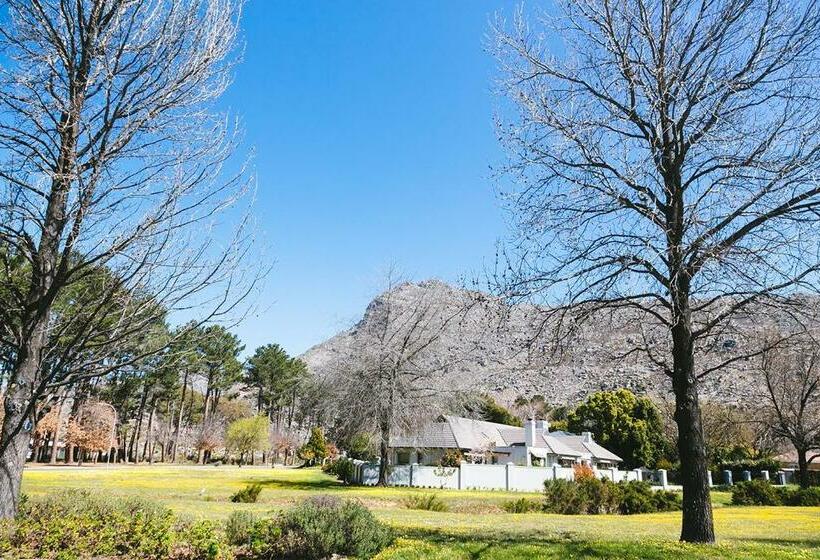 Cherry Blossom Backup Power Inverter