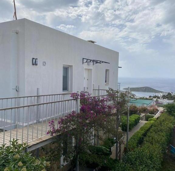 The Lovely Bodrum House