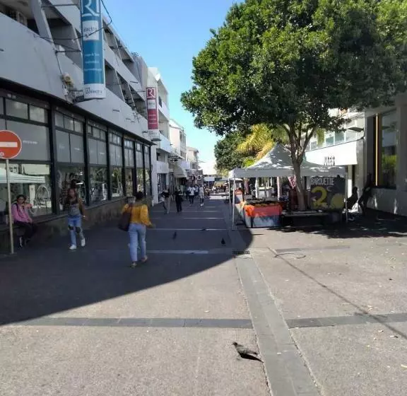 Superbe T3 En Plein Cœur Du Centre Ville