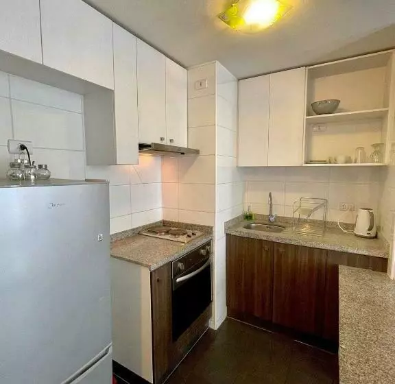 Cerro Amarillo · Acogedor Y Amplio Departamento Centro Concepción