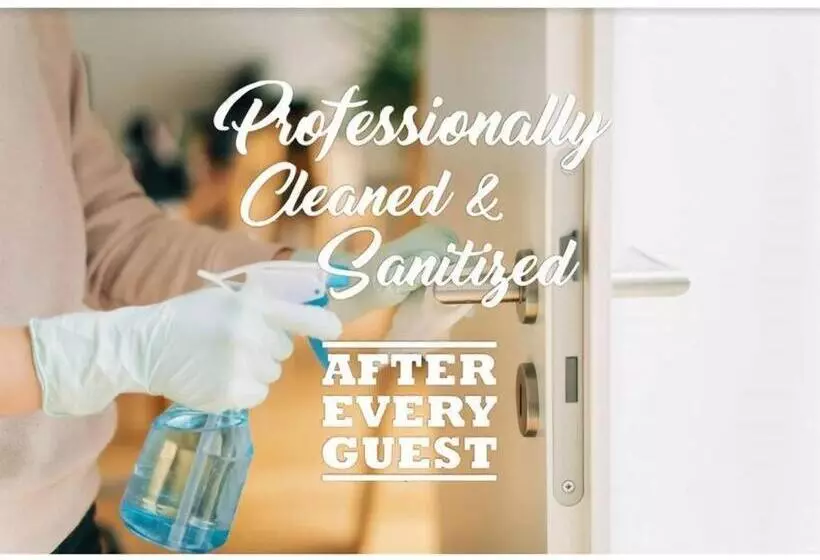 Baden   Absolute Water Front Sydney Harbour Studio