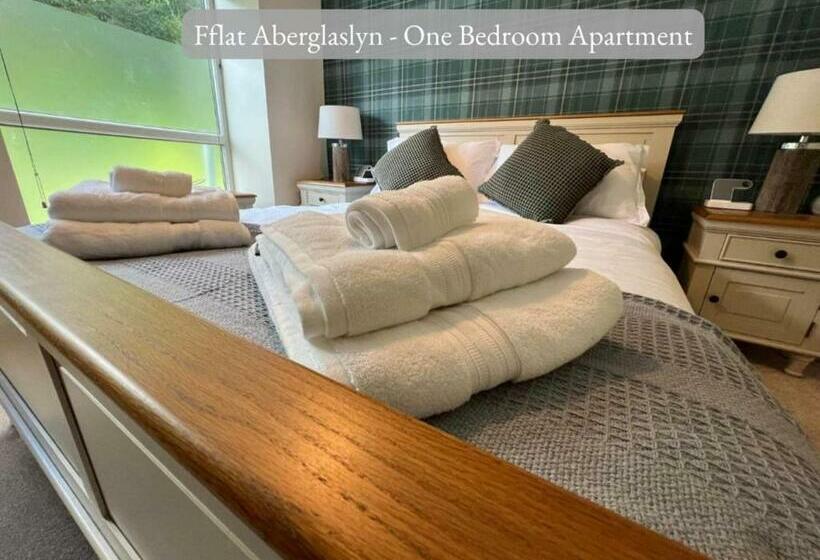 Llew Accommodation   The Townhouse