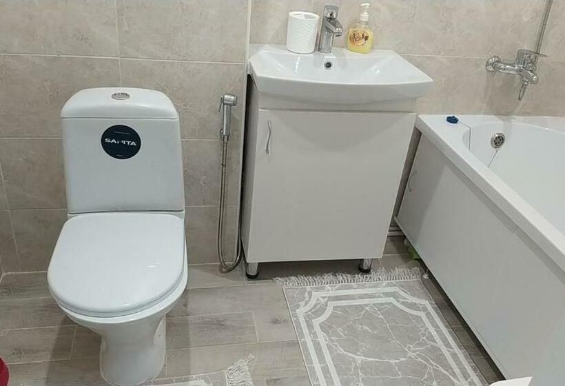 апартаменты г. уральск. по домашнему уютно. трансфер