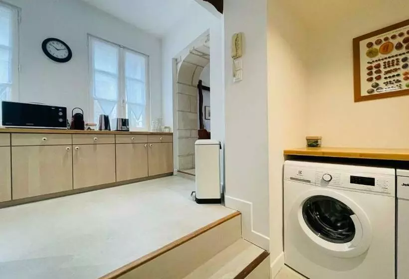 Splendid Apartment At The Foot Of The Castle Of Amboise   View Of The Loir