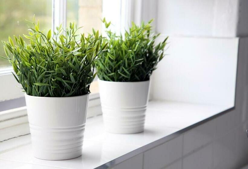 Luxury 3 Bed Apartment In The Heart Of Stamford