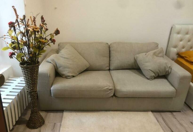 Supercentral One Room Flat, 16 Min To Bergamo Airport