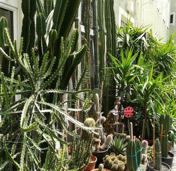 민박 Pension Fünfhaus