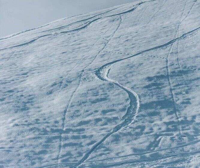 هتل Alpenstern Genießer