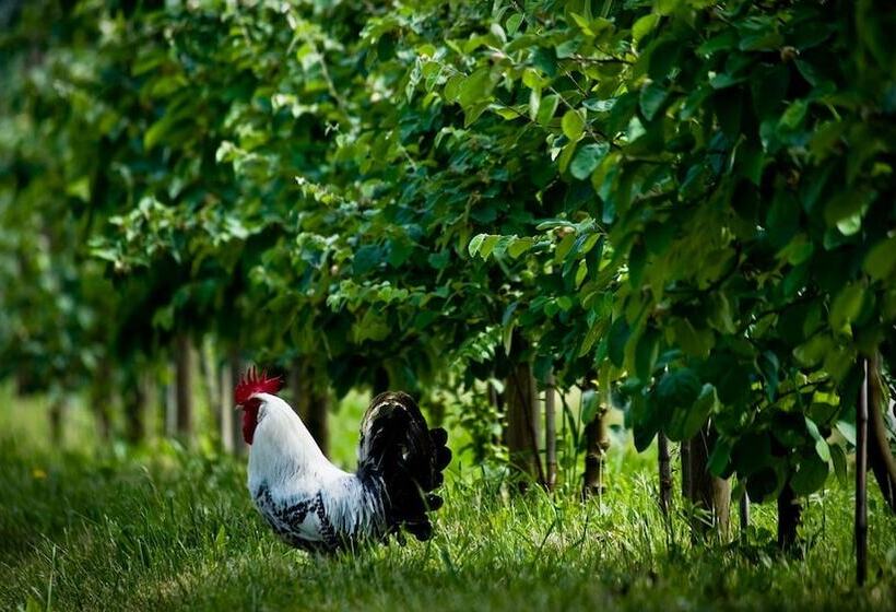 Отель Antica Corte Pallavicina Relais