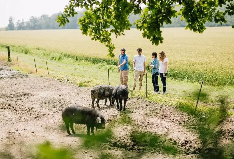 فندق Antica Corte Pallavicina Relais