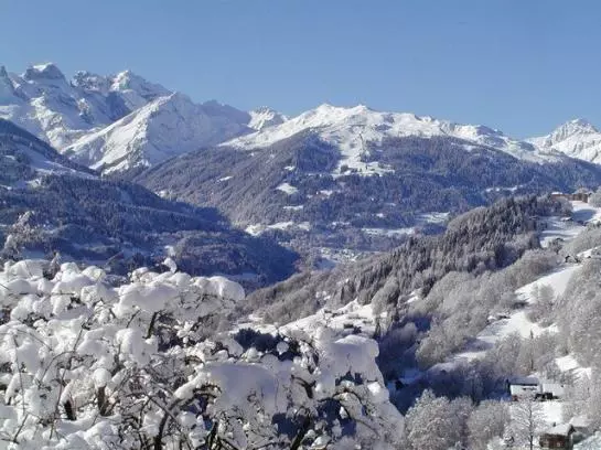 Bio Und Bergbauernhof Saller