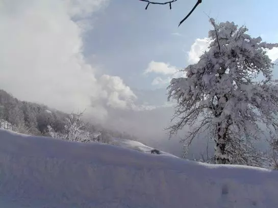 Bio Und Bergbauernhof Saller