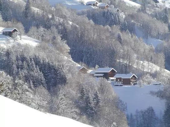 Bio Und Bergbauernhof Saller