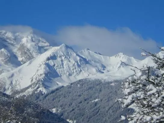 Bio Und Bergbauernhof Saller