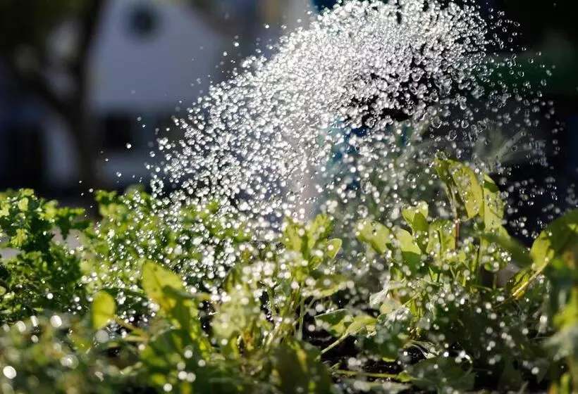 Отель Genuss Am Hof