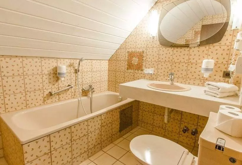 בית מלון כפרי Bären