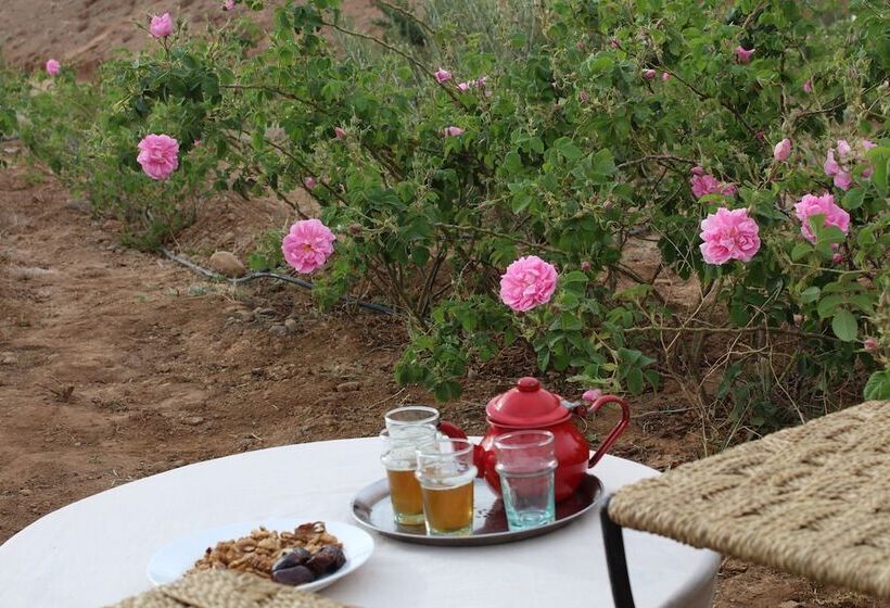 Отель Dar Timitar