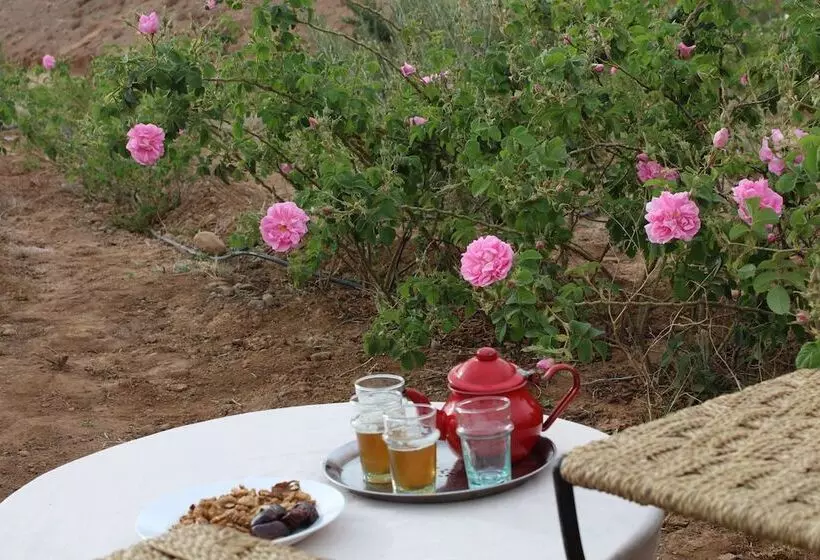 Отель Dar Timitar