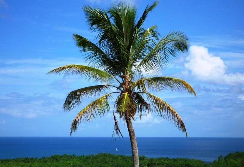 هتل Domaine De L Anse Ramier