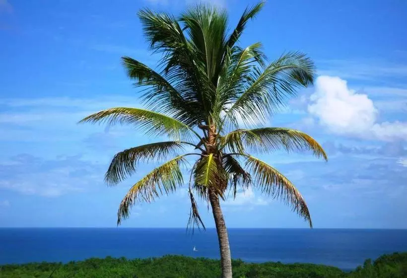 فندق Domaine De L Anse Ramier