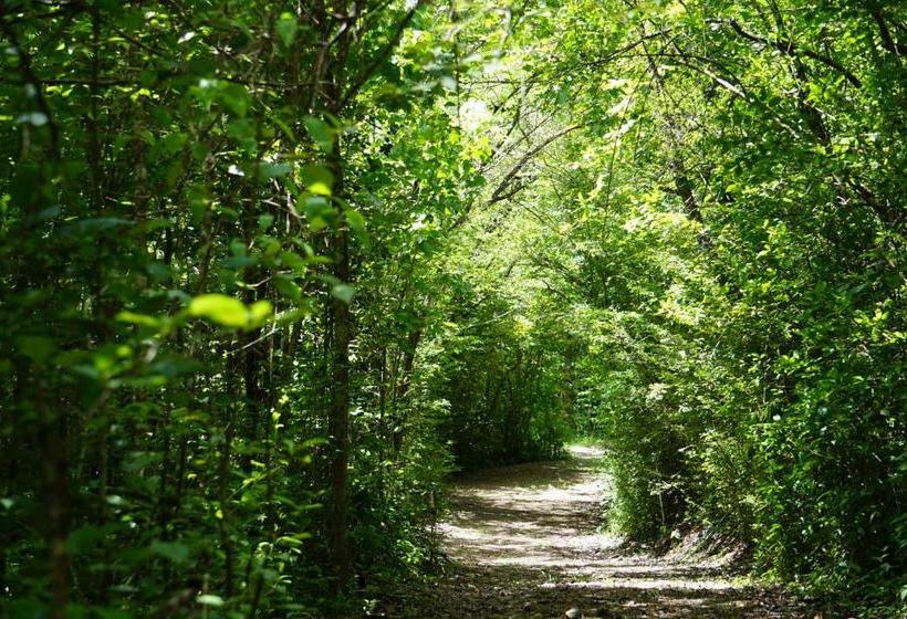 هتل Domaine De L Anse Ramier