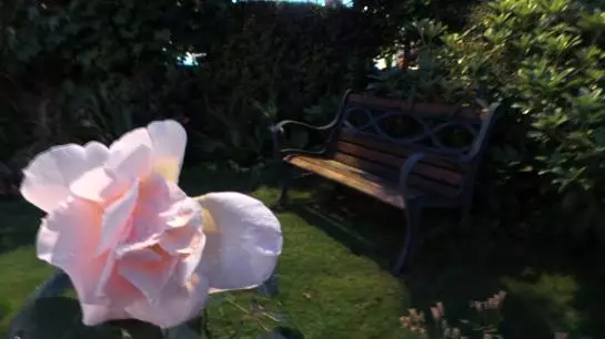 膳宿费 Inishmore House