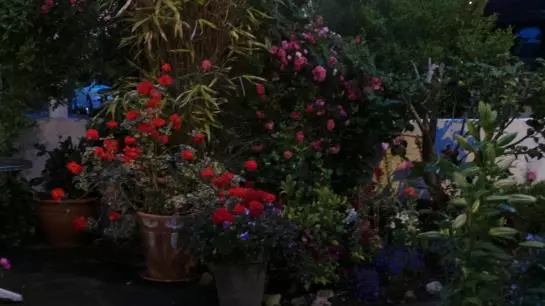 膳宿费 Inishmore House