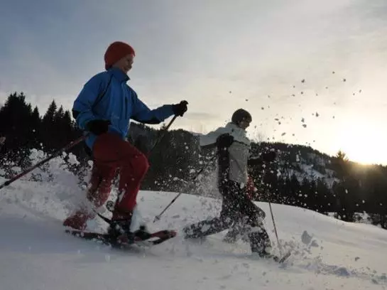 Отель Gasthof Hirschen