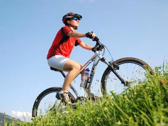 Отель Gasthof Hirschen