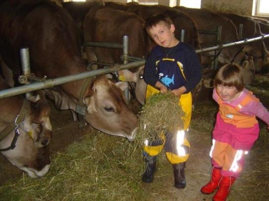 Urlaub Bauernhof Sohlerhof