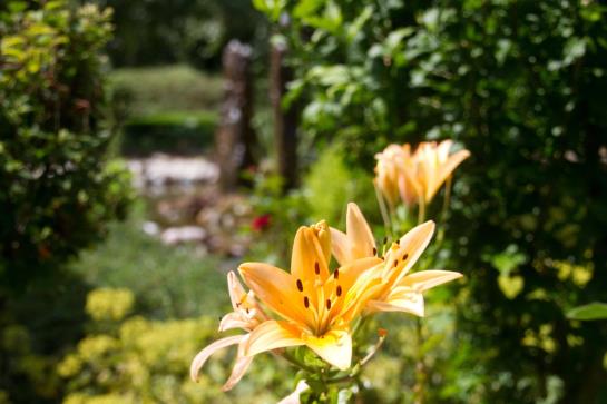 Landhotel 't Elshuys