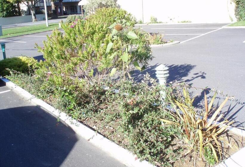 فندق على الطريق Fernhill Motor Lodge