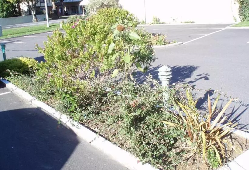 فندق على الطريق Fernhill Motor Lodge