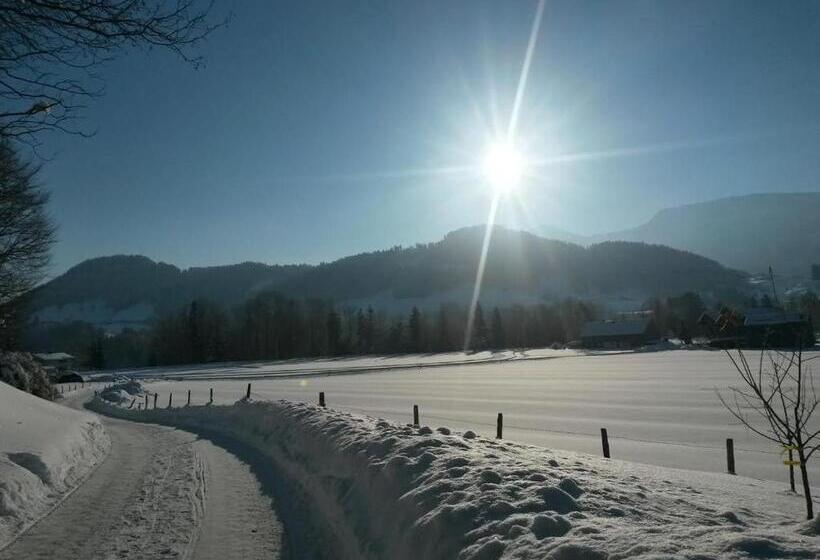 פנסיון Gasthof Adler