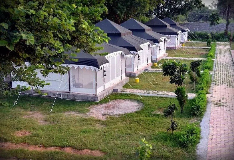 Tiger Queen Ranthambore