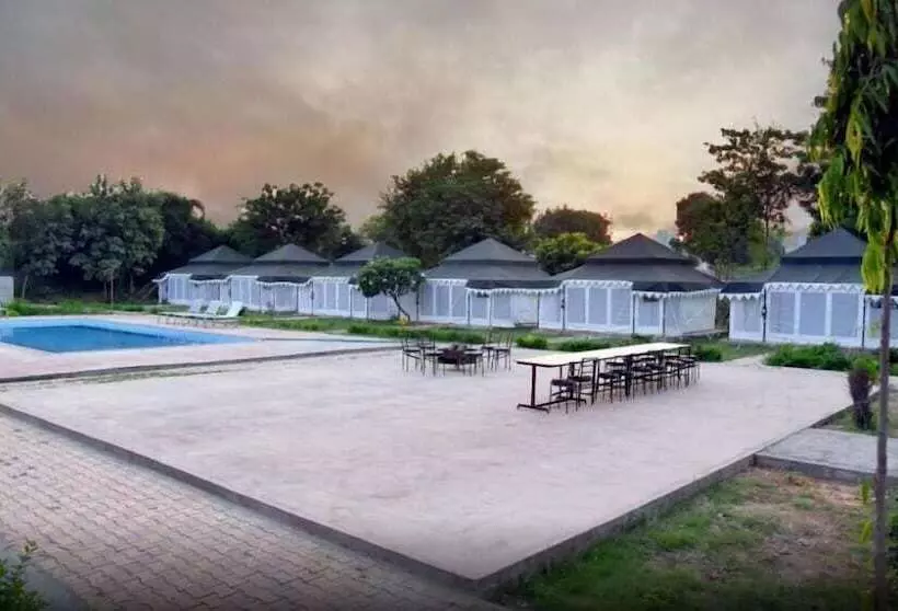 Tiger Queen Ranthambore