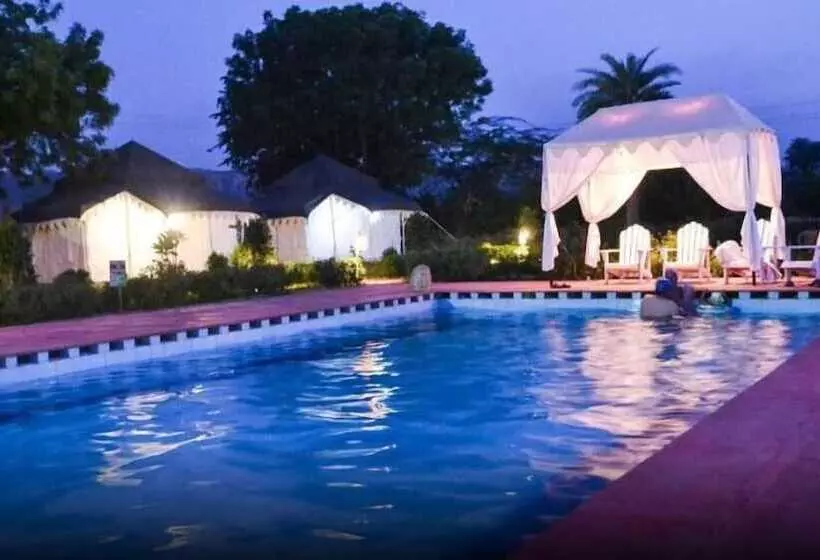 Tiger Queen Ranthambore