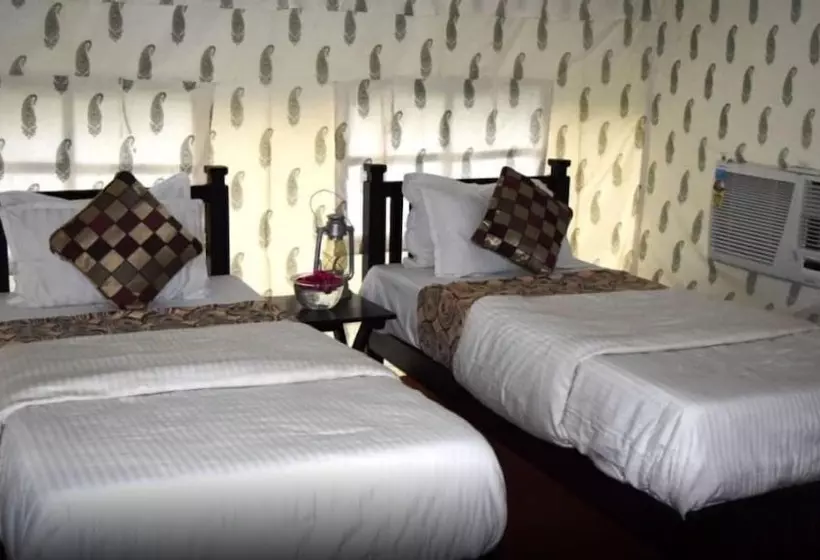 Tiger Queen Ranthambore