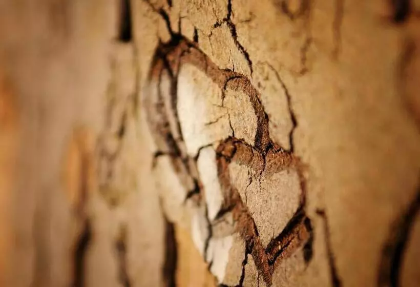 Valbella Bed & Breakfast