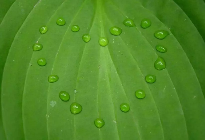 Valbella Bed & Breakfast