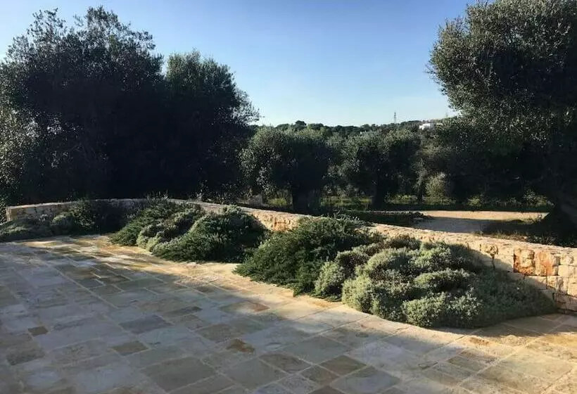 Lamia Degli Ulivi