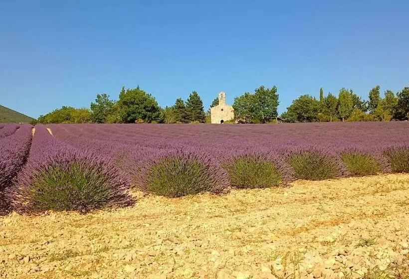 Le Mazet Sainte Jalle, Piscine Chauffée, Jardin Clos, Barbecue En Baronnies Provençales