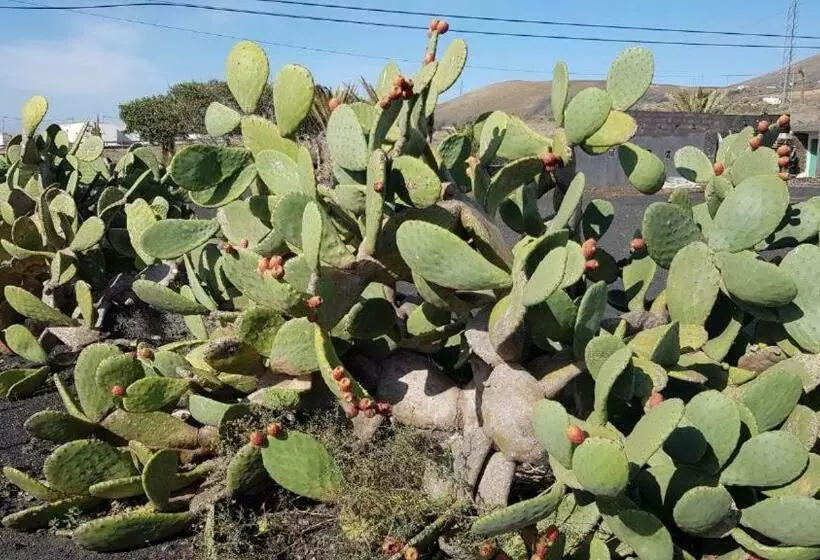 Buena Vista, Sea View Apto De Oasis Vasiliko , La Asomada