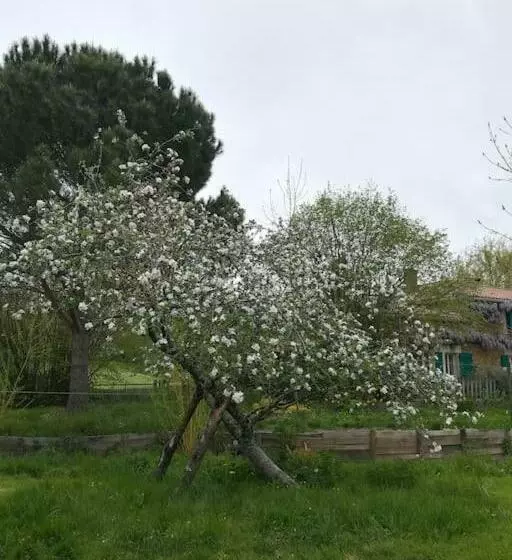 Cocon Cosy Et Déconnecté 30min Puy Du Fou   2 Chambres Et 1 Canapé Lit