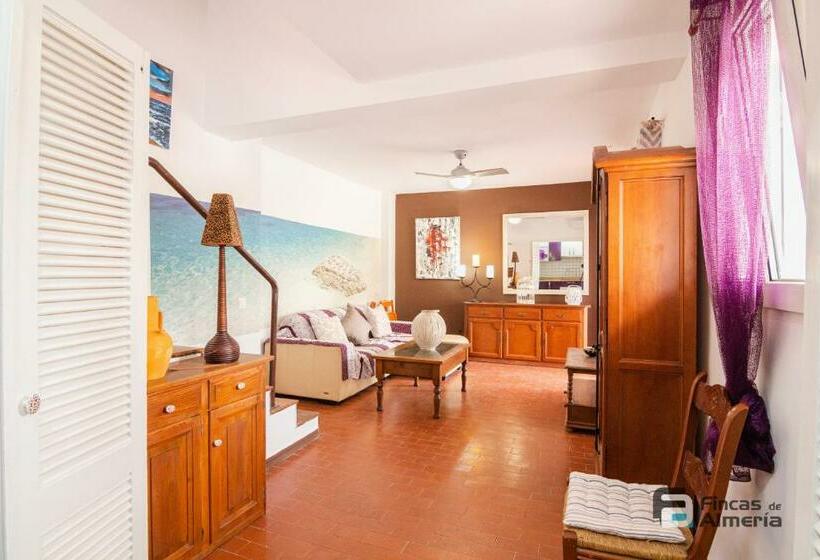 El Pasaje Del Andaluz