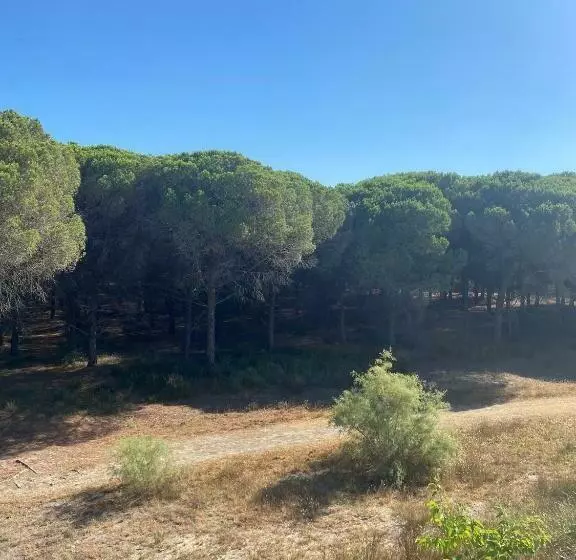 Studio Cabine Mer Et Pinède 26m2: 4pers, Neuf, Cosy