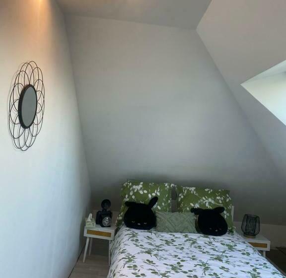 Logement Convivial, Charmant Et Spacieux